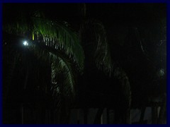 Costa del Sol at night 06